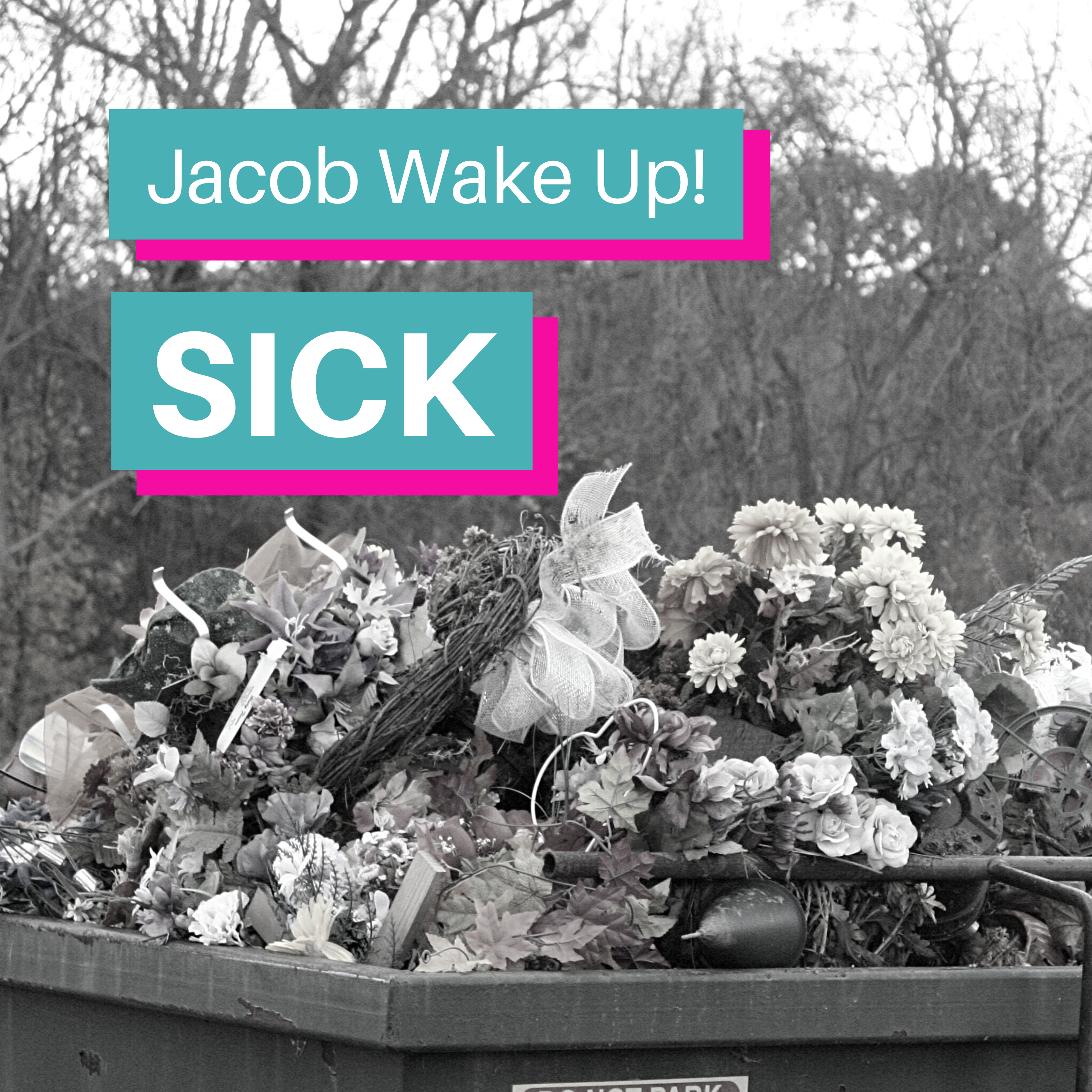 Jacob Wake Up - Sick - Album Artwork